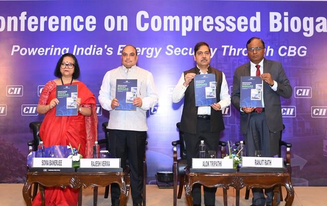 Conference on Compressed Biogas